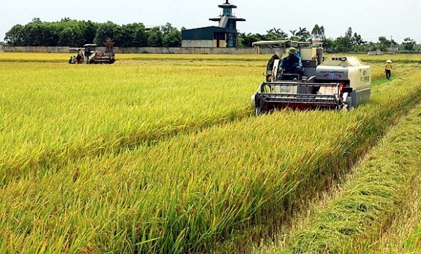 Viet Nam’s supporting policies contribute to higher level of mechanisation in agriculture