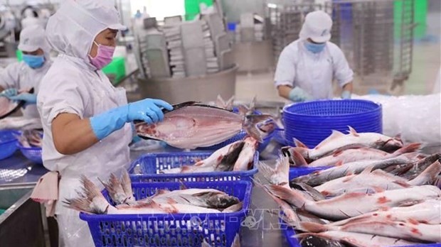 Fishery export dropped in May