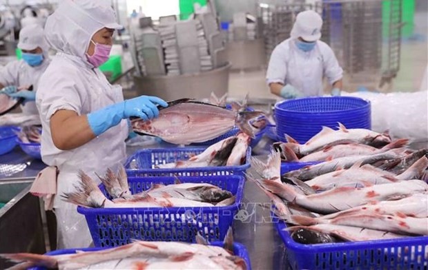 Fishery export declines in May Fishery export declines in May