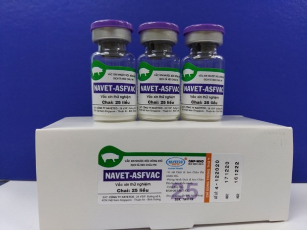 NAVET-ASFVAC experimental vaccine (Photo: VNA)