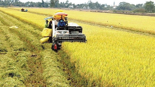 Project to help boost agriculture