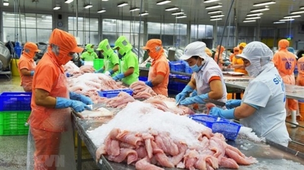 Seafood exporters face challenges: conference
