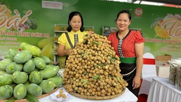 Son La mango and safe farm produce week begins in Hanoi