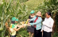 vietnam wants aiib to be effective regional development bank