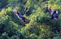 ca mau looks to attract investment in tourism