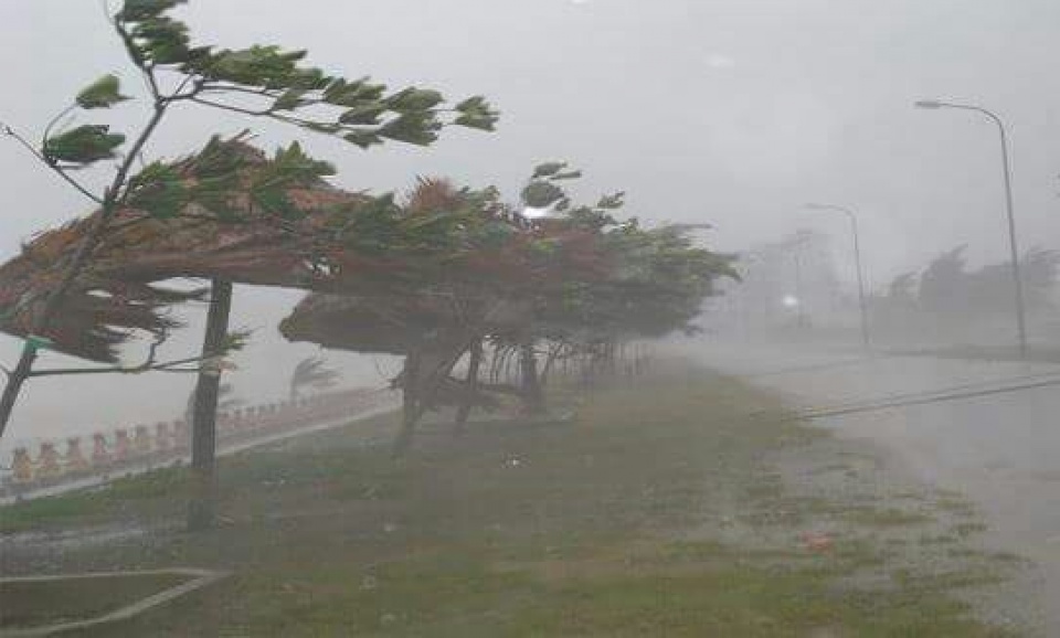 tropical storm sonca causes damage across central region