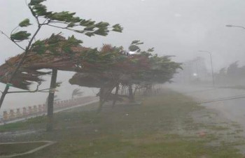 Tropical storm Sonca causes damage across central region
