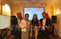 art performance marks vietnam laos diplomatic ties