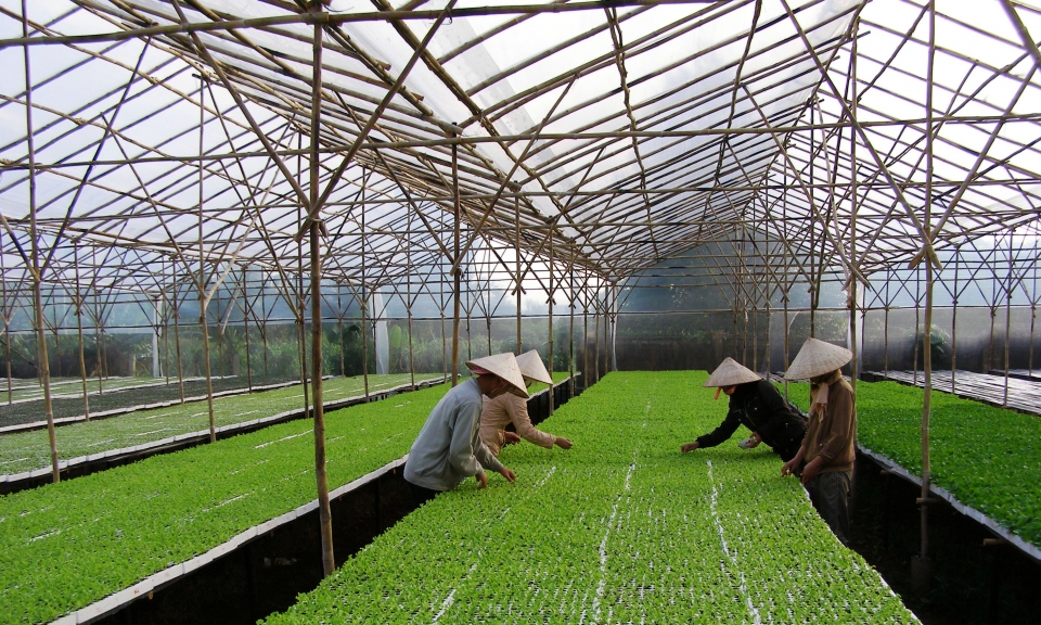 taiwanese firms boost agricultural partnership with vietnam