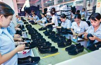 cptpp evfta help vietnams garment textile lure investment