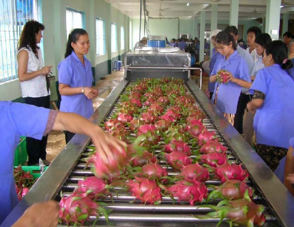 vietnam may earn 47 billion usd from fruit veggie exports in 2018