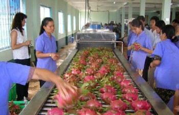 Vietnam may earn 4.7 billion USD from fruit, veggie exports in 2018