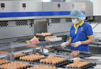 More opportunities for poultry export to Japan