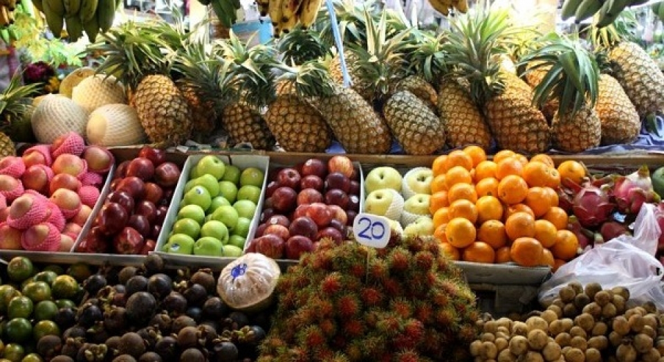 vietnam earns 23 billion usd from vegetable fruit exports