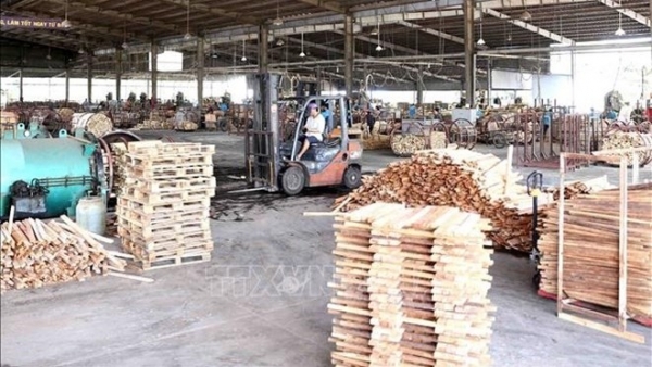 LEGT licence to be granted to wood exports in 2025