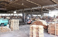 wood export turnover grows 16 percent in q1