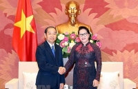 vietnam laos hold fourth political consultation in vientiane