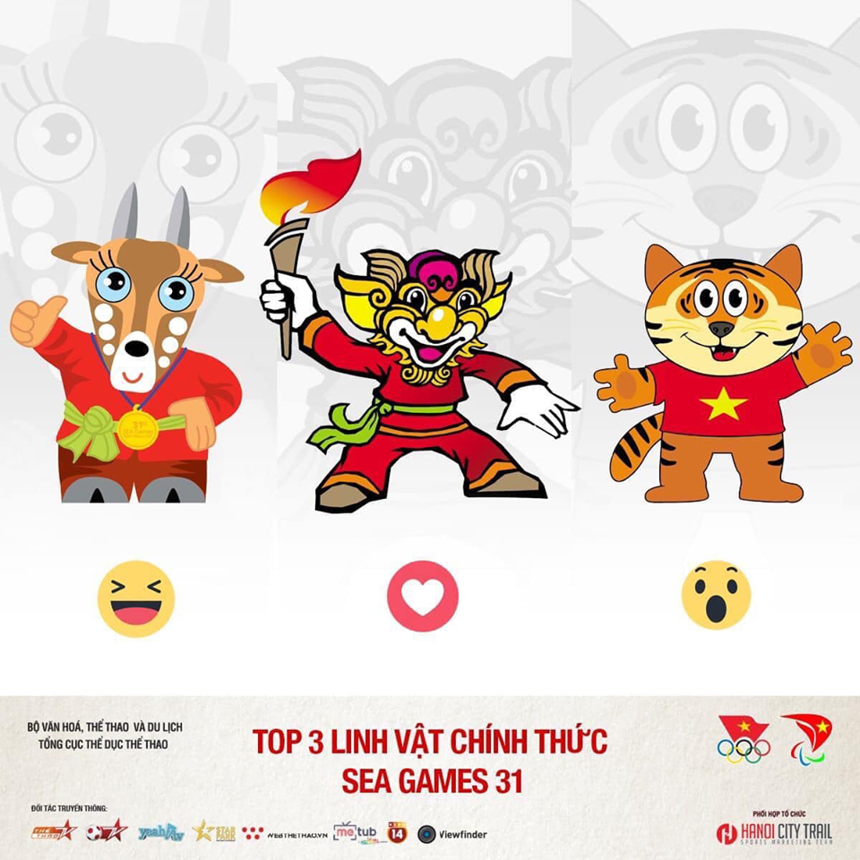 vietnam presses ahead with preparation for sea games 31