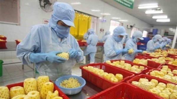 Viet Nam’s export turnover surges 28.4 percent in H1
