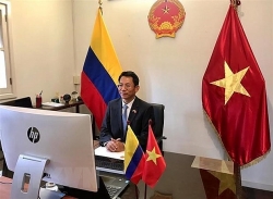 Viet Nam wants to enhance ties with Colombia: diplomat