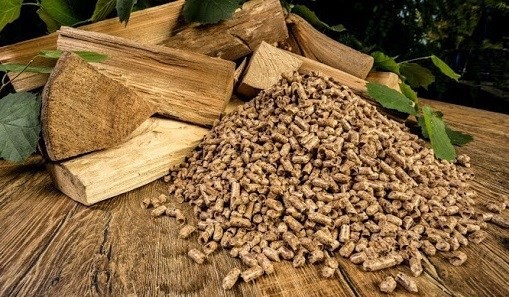 Viet Nam now world’s second largest fuel pellet exporter Viet Nam now world’s second largest fuel pellet exporter