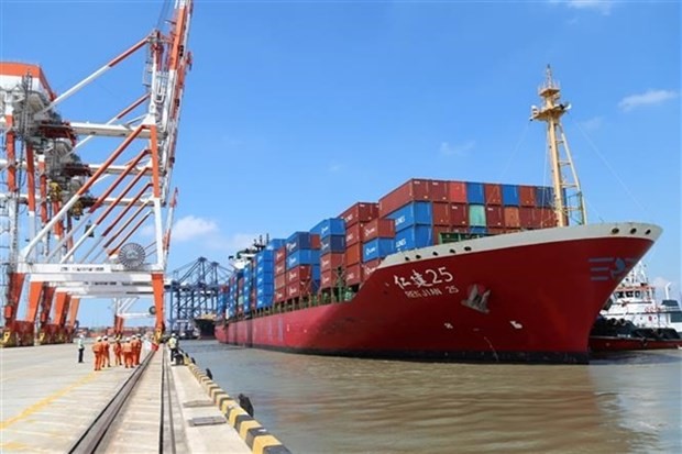 A container ship anchored at Tan Cang Cai Mep - Thi Vai Terminal. (Photo: VNA)