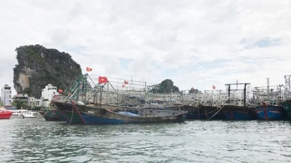 Quang Ninh makes important progress in removing EC fishing 'yellow card'