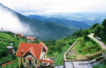 Tam Dao – an ideal getaway for tourists