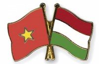 solidifying traditional friendship and multifaceted cooperation between vietnam and hungary