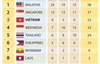vietnam athletes to seek medals at sea paragames