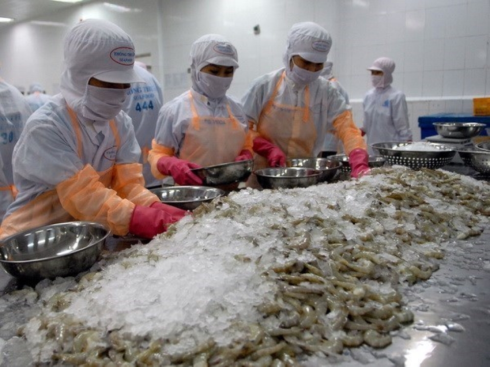 Many challenges await Vietnam’s shrimp export to US many challenges await vietnams shrimp export to us
