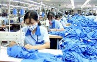 forestry exports estimated to exceed 58 billion usd in 8 months