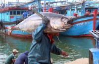 vietnams seafood exports rise but challenges continue