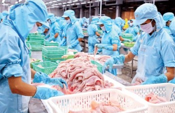 Tra fish exports to US enjoys strong surge