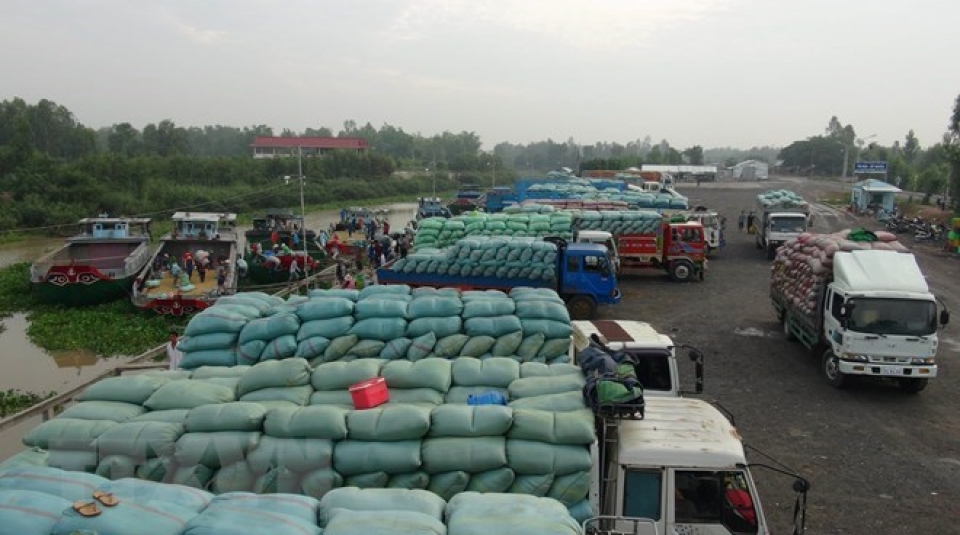 vietnamese chinese localities enhance border customs cooperation
