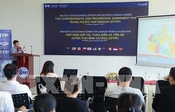 Da Nang seeks business cooperation opportunities with Canada