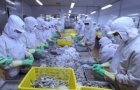 vietnam to promote exports of organic fertilisers