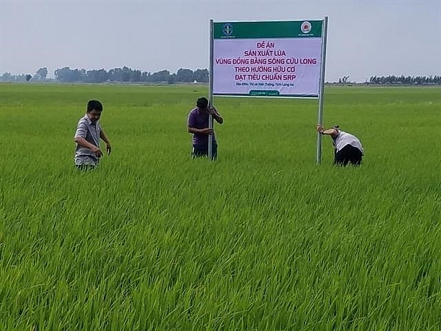 vietnam to promote exports of organic fertilisers