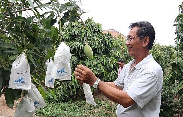 mekong deltas fruit farming area to be expanded