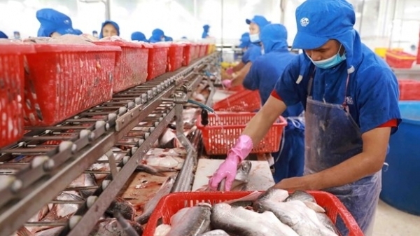 Viet Nam poised to become world’s leading seafood processing centre