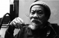 book about 18th century vietnam wins award