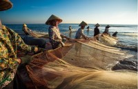 vietnam seeks new approaches to natural resource preservation