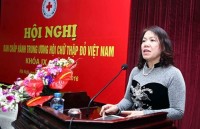 overseas vietnamese in laos help disaster victims