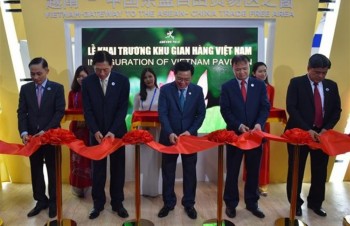 Vietnam supports ASEAN – China cooperation: Deputy PM