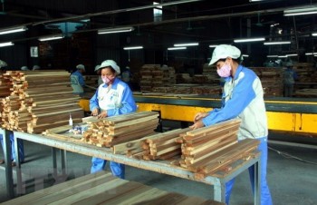 Forestry exports estimated at 6.64 billion USD in nine months