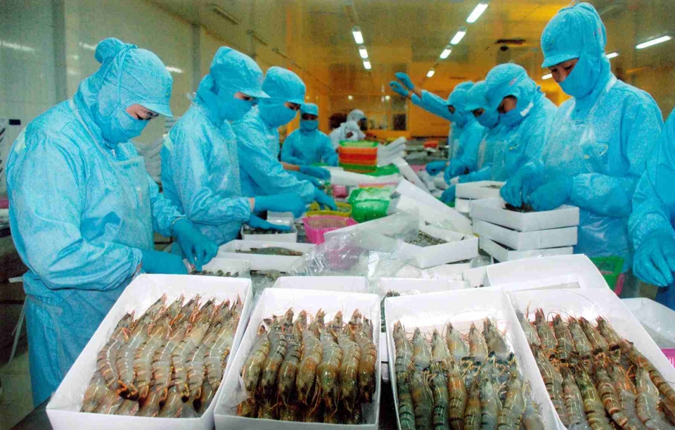 vietnams seafood exports rise but challenges continue