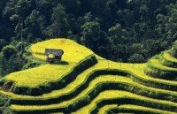 nearly 70000 visits first ha noi food culture festival