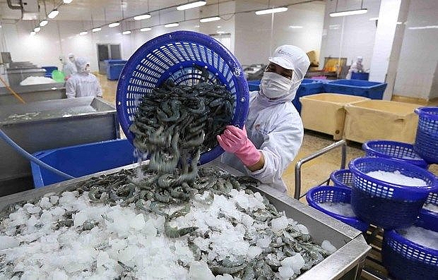 vietnams shrimp export to rok sees positive growth