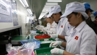 Vietnam loses 2.4 million jobs in first two quarters