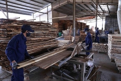Binh Dinh’s wood exports surge 21 percent despite pandemic